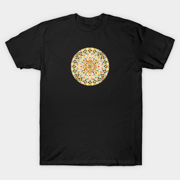 Pink Carousel Mandalas T-Shirt by PatriciaSheaArt